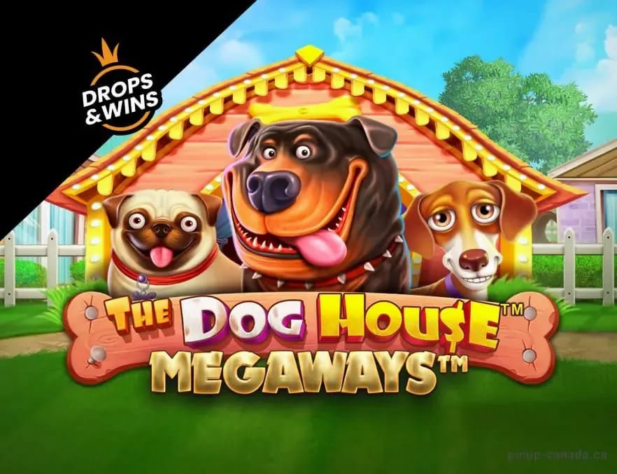 quickwin casino Gallery 1-15